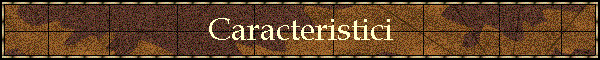 Caracteristici