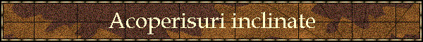 Acoperisuri inclinate