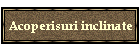 Acoperisuri inclinate
