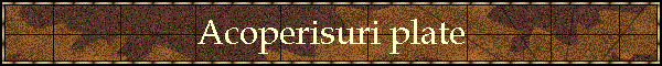 Acoperisuri plate